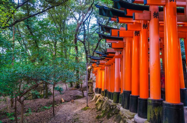 Puerta de los toros rojos en Fushimi Inari Shrine Temple en Kyoto, Japón