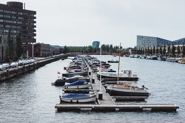 Puerto de la ciudad con yates. Amsterdam