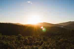 Foto gratuita puesta de sol en el campo