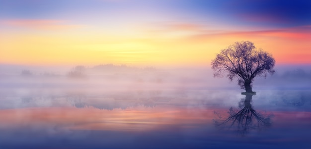 Puesta de sol y niebla en el lago