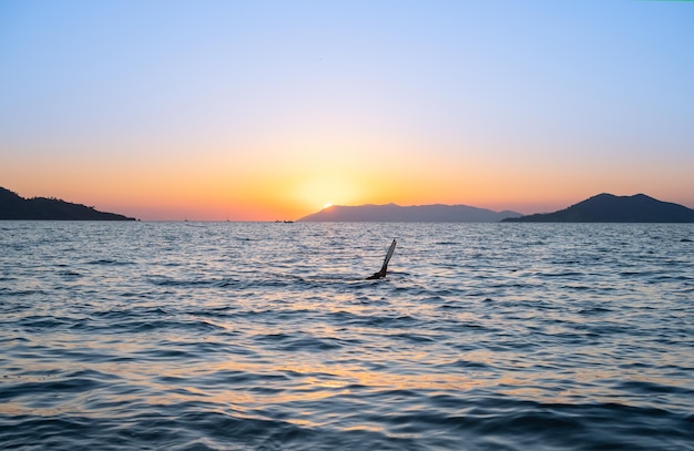 Foto gratuita puesta de sol sobre el cazador de pulpos de la bahía o la idea del pescador submarino para salvapantallas o publicidad para vacaciones junto al mar