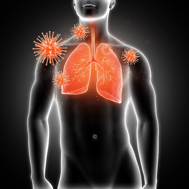 Foto gratuita pulmones afectados