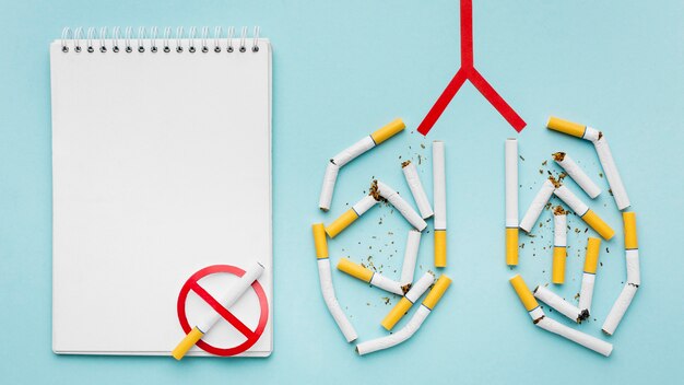 Pulmones en forma con cigarrillos y cuaderno al lado