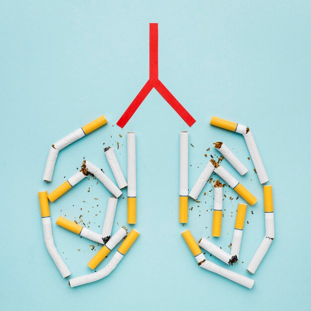 Los pulmones se forman con cigarrillos
