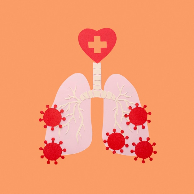 Pulmones hechos de papel aislados en naranja con virus