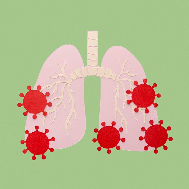 Pulmones hechos de papel aislados en naranja con virus