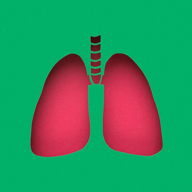 Pulmones hechos de papel