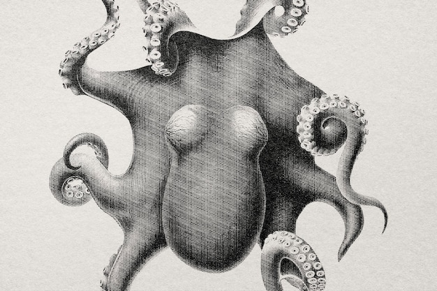 Pulpo dibujado a mano en estilo grabado