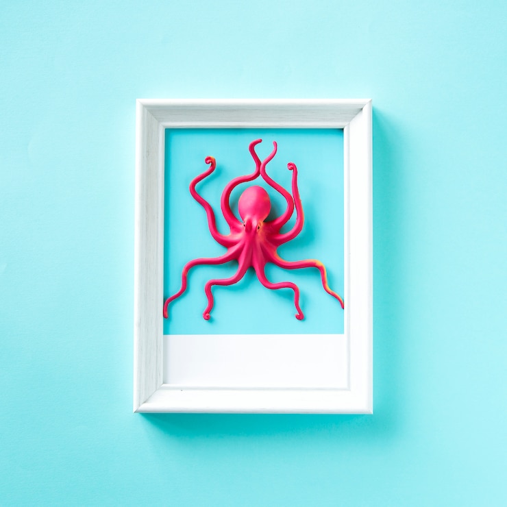 Foto gratuito pulpo de juguete en un marco