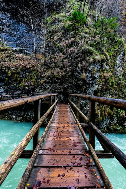 Punto de vista filmado en un puente colgante sobre un río en un bosque