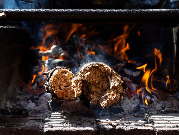 Quema de madera en la parrilla