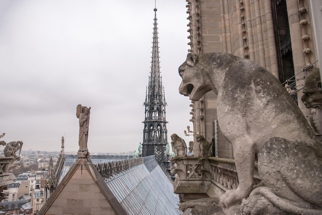 Foto gratuita quimera de la catedral notre dame de paris