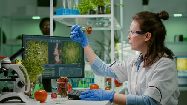 Químico científico comprobando la fresa con pinzas médicas que trabajan en el laboratorio de biotecnología