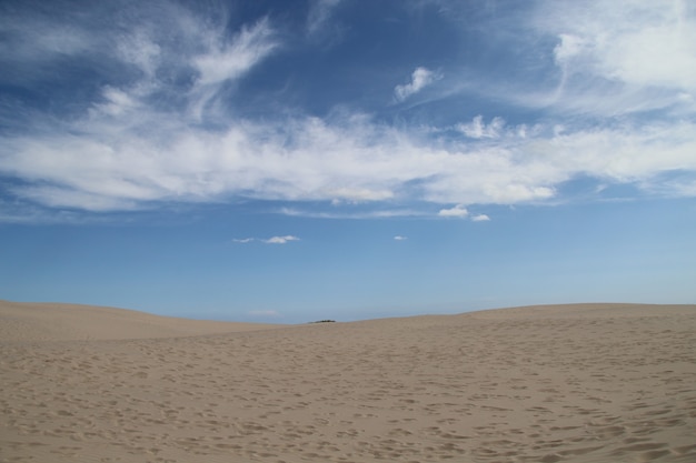 Rabjerg Mile bajo la luz del sol y un cielo nublado azul en Dinamarca