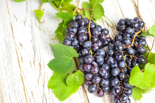 Racimo seco de uvas azules sobre blanco rústico