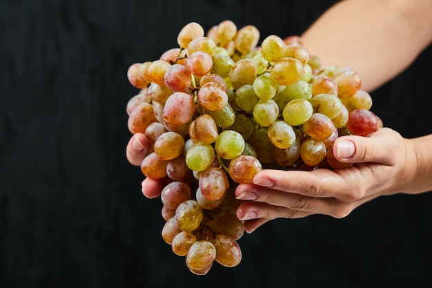 Racimo de uvas frescas en mano sobre superficie negra