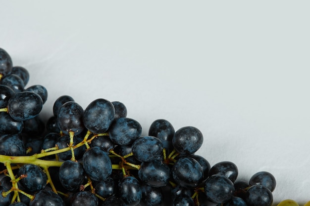 Foto gratuita un racimo de uvas rojas en el espacio azul.