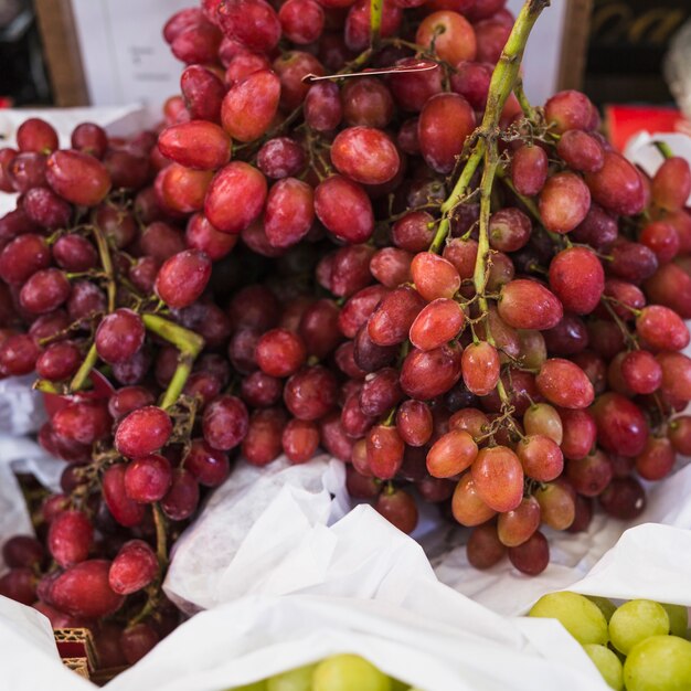 Racimo de uvas rojas frescas