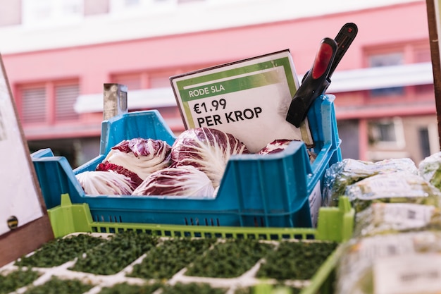 Radicchio en caja azul con etiqueta de precio