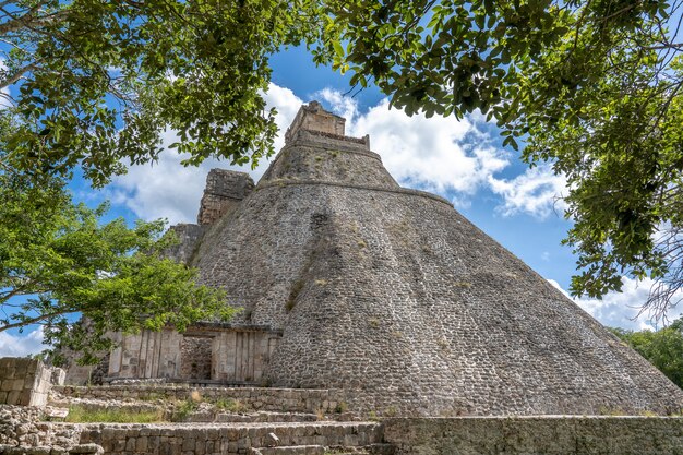 Rama de un árbol y gran edificio antiguo