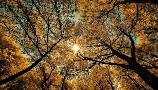 Rama de árbol retroiluminada brilla en la puesta de sol de otoño generada por IA