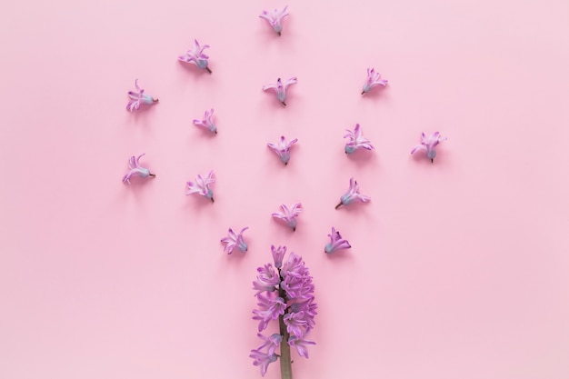 Rama de flor morada con pequeños cogollos