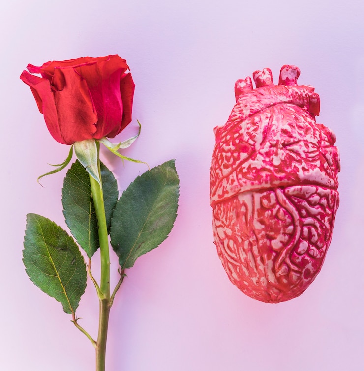Foto gratuito rama de rosa con corazón humano de cerámica