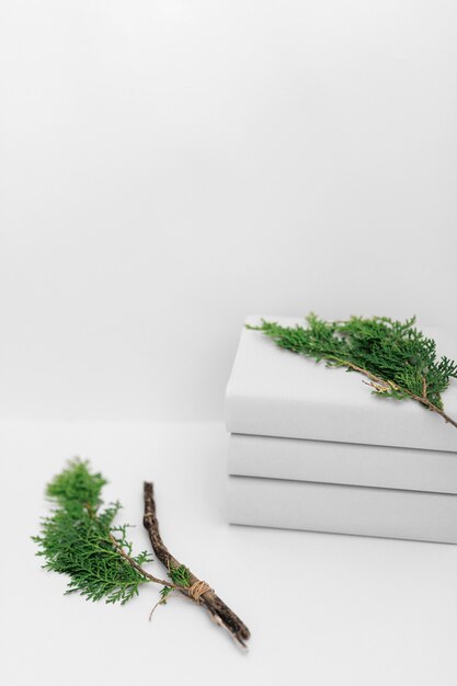 Rama de Thuja en blanco apilado de libros sobre fondo