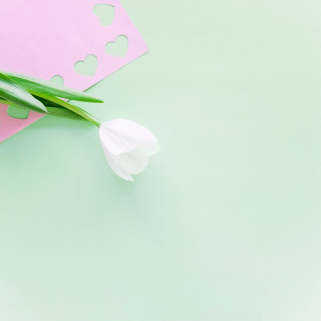 Rama de tulipán blanco con corazones cortados en papel rosa