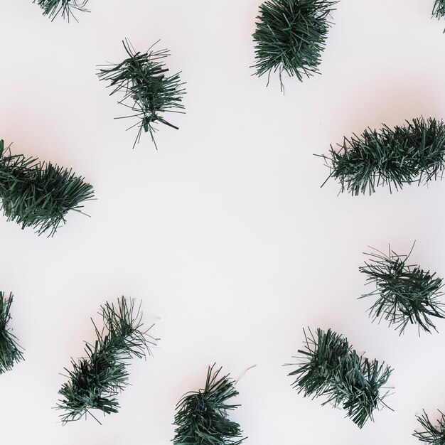 Ramas de los árboles de Navidad en la mesa