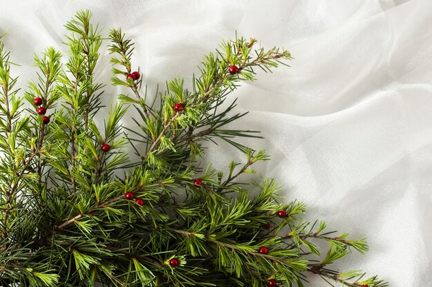 Ramas de los árboles de Navidad en tela blanca