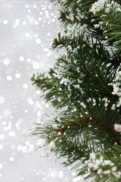 Ramas cubiertas de nieve de un árbol de navidad contra un fondo luces bokeh