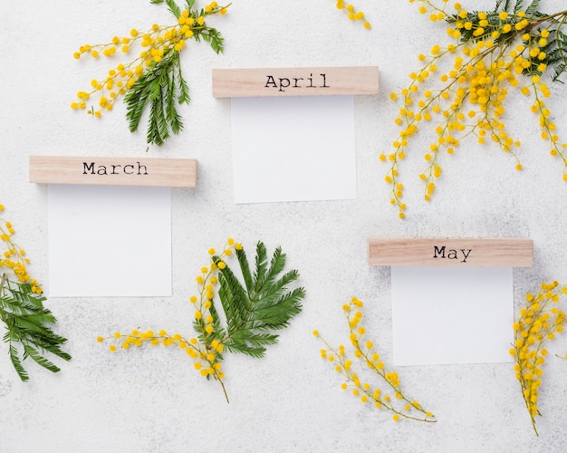 Ramas de flores y meses de primavera.