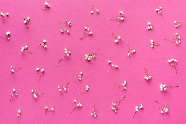 Ramas de flores pequeñas dispersas en mesa rosa
