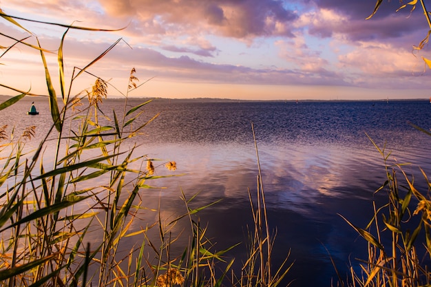 Ramas de hierba en el cuerpo del mar con el cielo del atardecer