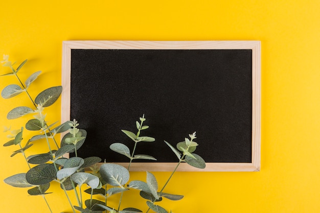 Ramas de la planta verde con pizarra en blanco en la mesa