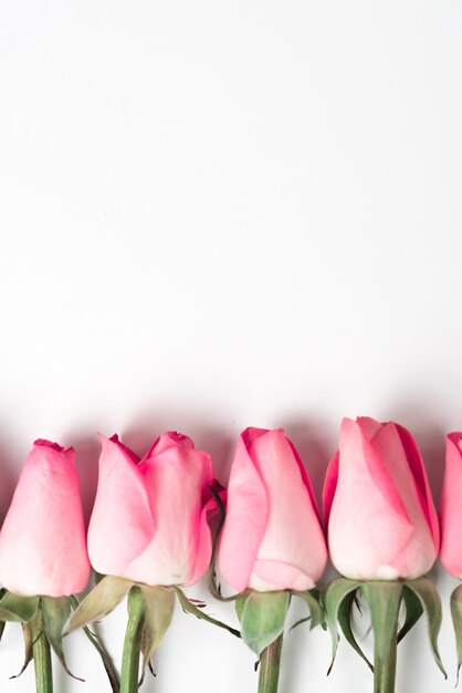 Ramas de rosas rosadas en mesa blanca