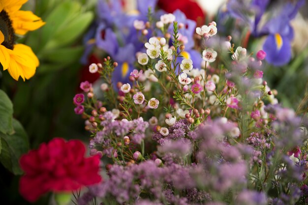 Ramillete de flores hermoso pequeño de primavera