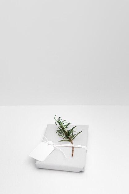 Ramita y etiqueta en blanco atadas con una caja de regalo envuelta en un fondo blanco