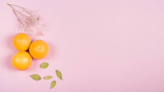 Foto gratuita ramita de flores de gypsophila; naranjas enteras y hojas verdes sobre fondo rosa con espacio de copia para escribir el texto