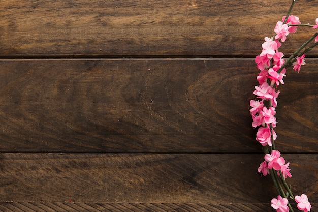 Ramitas con flores rosas.