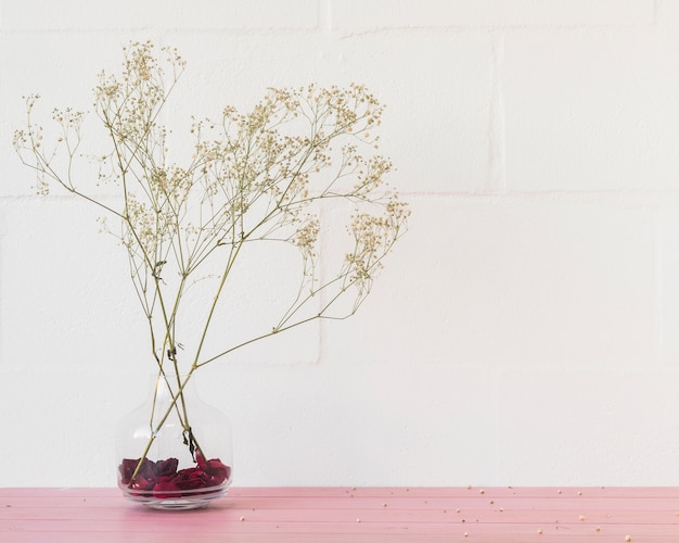 Ramitas de plantas verdes en florero cerca de la pared