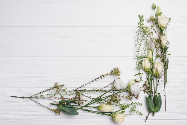 Ramitas y rosas en blanco