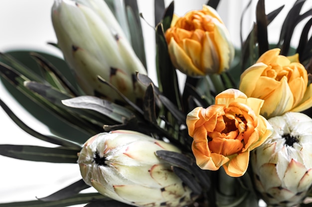 Un ramo de flores exóticas de protea real y tulipanes brillantes. Plantas tropicales en composición florística.