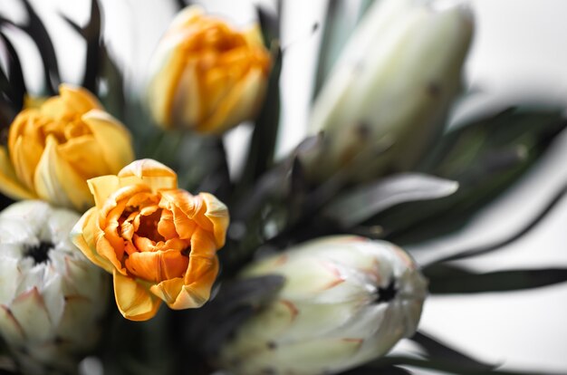 Un ramo de flores exóticas de protea real y tulipanes brillantes. Plantas tropicales en composición florística.