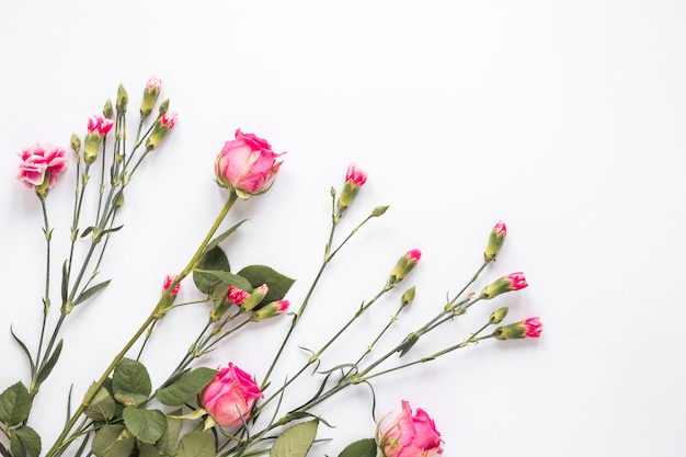 Ramo de flores frescas con hojas verdes.