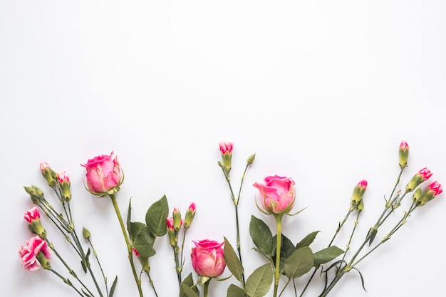 Ramo de flores frescas con hojas verdes.