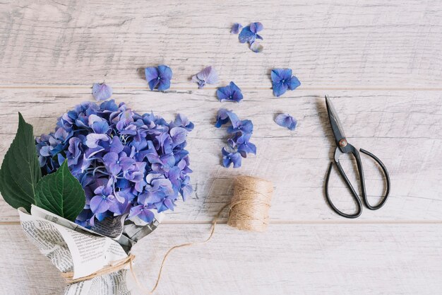 Ramo de flores de hortensia púrpura atadas con carrete y tijera en mesa de madera