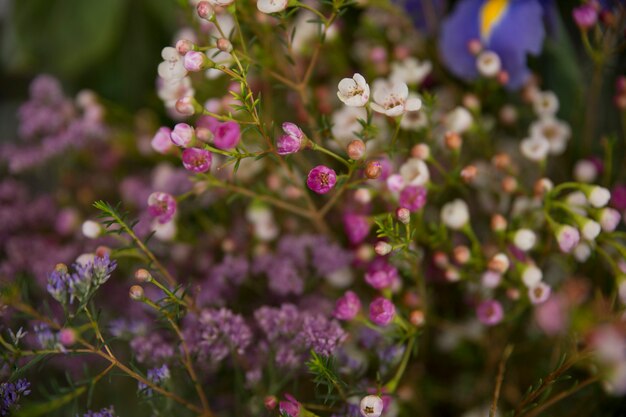 Ramo de flores moradas y blancas.