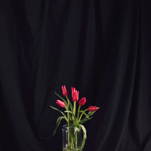 Foto gratuita ramo de flores rojas en florero con agua.